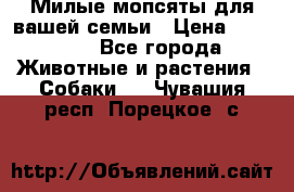 Милые мопсяты для вашей семьи › Цена ­ 20 000 - Все города Животные и растения » Собаки   . Чувашия респ.,Порецкое. с.